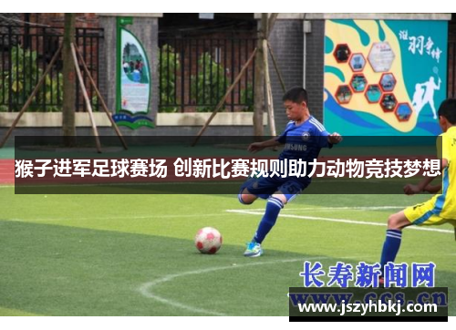 猴子进军足球赛场 创新比赛规则助力动物竞技梦想