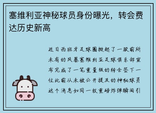 塞维利亚神秘球员身份曝光，转会费达历史新高